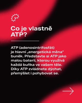 ⚡ ATP – energie pro vaše tělo Co je to ATP, jak funguje, jakou roli hraje v našem těle a jak lze stav ATP ovlivnit?