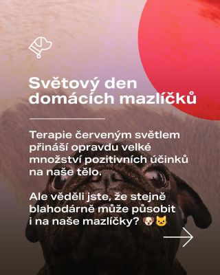 Světový den domácích mazlíčků 🐶🐱🐢 U domácích mazlíčků červené a blízké infračervené světlo podporuje rychlejší hojení ran,...