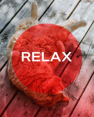 Relaxujte s MITO LIGHT 🧘 Červené světlo nepůsobí jen na pokožku, ale i na nervový systém. Jeho jemné teplo pomáhá tělu...